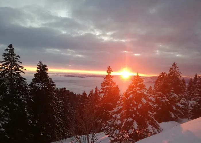 Apartmaji Vrhovnik Cerklje na Gorenjskem